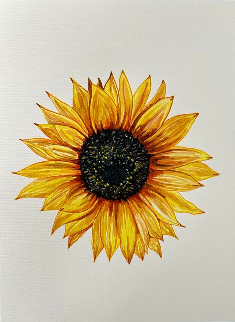 A happy Sunflower, painted in watercolours on premium acid-free, cold press paper. I love to paint sunflowers as the centres are so unique to each flower and the colour of them seems to make people smile. This is being sold as an unframed painting leaving you free to choose your own frame to suit your home decor. Each painting is signed and dated. Painting Of A Sunflower, Flower Drawing Sunflower, Sunflower Art Drawing, Sunflower Rock Painting, Sunflower Painting Easy, Sunflower Painting Ideas, Sunflower Drawings, Paint Sunflowers, Sunflower Paintings