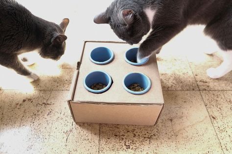 Cat Puzzle Feeder, Cat Food Station, Food Puzzle, Diy Cat Food, Healthy Cat Food, Homemade Cat Food, Cat Food Brands, Diy Puzzle, Best Cat Food