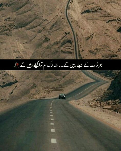 Best Lines From Books Novels, Looks Quotes, Die Quotes, Cute Friendship Quotes, 1 Line Quotes, Romantic Poetry Quotes, Quotes Inspirational Deep, One Line Quotes, Urdu Funny Poetry