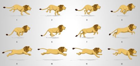 Lion run cycle animation sequence | Premium Vector #Freepik #vector #animation-sequence #walking-animation #animal-illustration #sprites Running Animation Frames, Lion Running, Running Animation, Cycle Animation, Animation Frames, Animation Sequence, Running Drawing, Free Cartoon Characters, Running Illustration