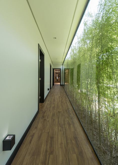 Corridor With Windows, Plants Next To Window, Plants By The Window, Hallway With Outside View, Glass Wall Hallway, Hallway With Glass Wall, Plants In House Decor, Windowed Hallway, Land Scape Architecture