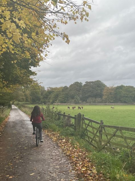 Bike, Park, Field, bike ride, Autumn, rainy day Autumn Bike Ride, Fall Bike Ride Aesthetic, English Autumn Aesthetic, Rainy Countryside, Rainy Field, Fall Bike Ride, Fall Cycling, Romanticize Fall, Aesthetic Bike Ride