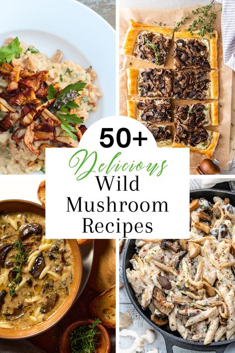 50 Best Wild Mushroom Recipes After A Day Of Foraging - West Coast Kitchen Garden Chef Sampler Mushroom Recipes, Coral Tooth Mushroom Recipes, Dried Morel Mushroom Recipes, Truffle Mushroom Recipe, Exotic Mushroom Recipes, Wild Mushrooms Recipes, Gourmet Mushroom Recipes, Mixed Mushroom Recipes, Beech Mushroom Recipe