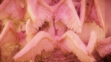 Aesthetic Angel Wings, Love Dive Mv, Angel Coquette, Coquette Pink Aesthetic, Ive Love Dive, Aesthetic Angel, Love Dive, In The Pale Moonlight, Cupid Love