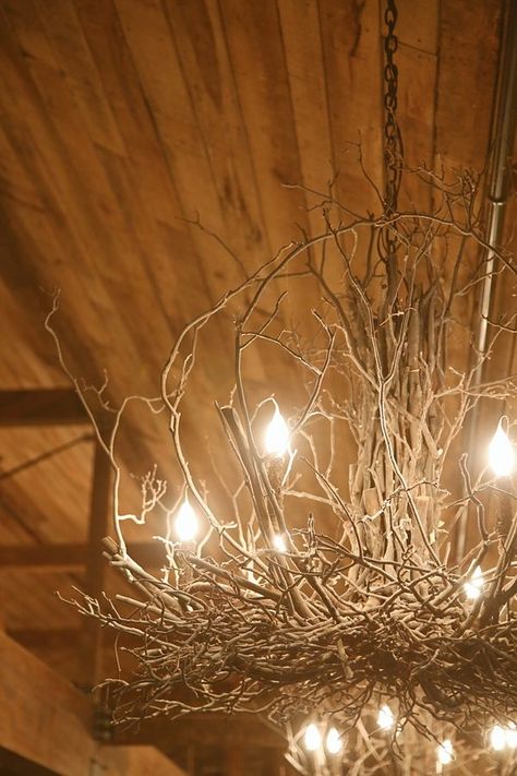 No wonder light bulbs are symbols of inspired ideas! 25 wildly different chandeliers made of branches. Branch Pendant Lights, Diy Branch Chandelier, Diy Farmhouse Lighting, Handmade Chandelier Diy, Diy Tree Branch Decor Creative Ideas, Update Chandelier Diy Ideas, Amazing Christmas Decorations, Outdoor Chandelier Diy, Grapevine Chandelier