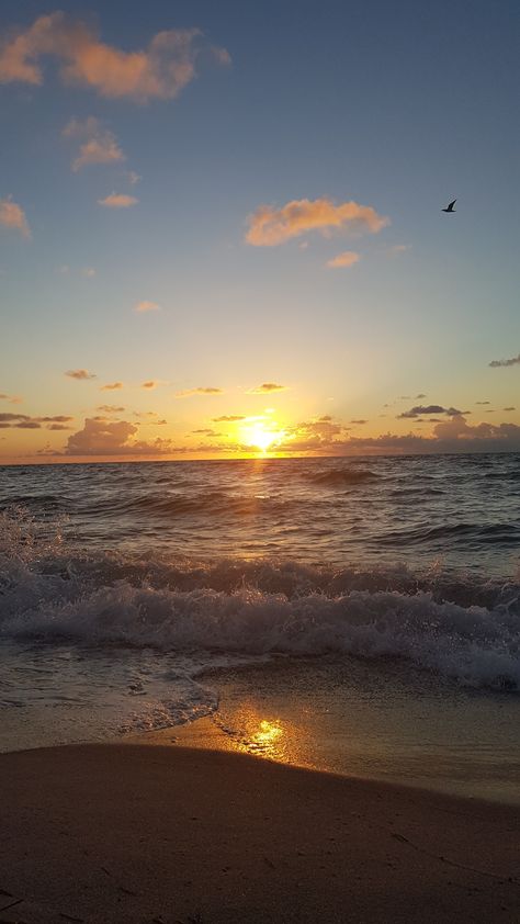 Miami Sunrise, Sunset Beautiful, Moon Aesthetic, South Beach Miami, Sunrise Beach, Future Life, Nature Aesthetic, Heaven On Earth, South Beach