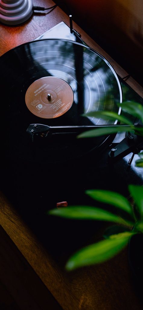 Vintage Record Player, Vinyl Player, Tina Fey, Music Images, The Crow, Vintage Records, Download Free Images, Record Player, Pics Art