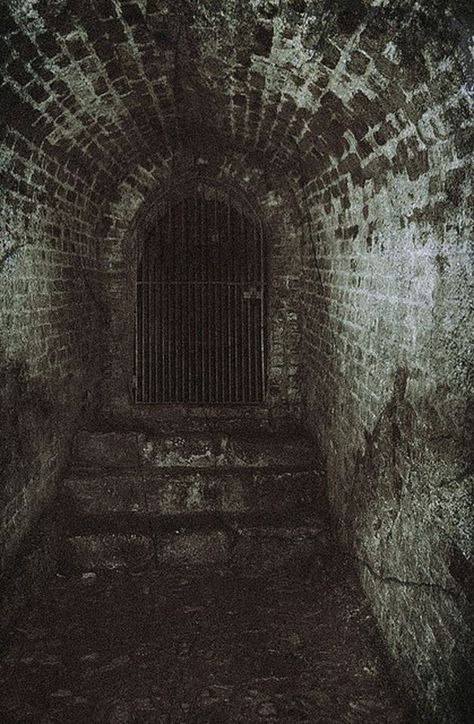 Because every home needs a secret, underground tunnel Images Terrifiantes, Scary Places, Haunted Places, Dark Places, Abandoned Buildings, Black Hat, The Villain, Abandoned Places, Haunted House