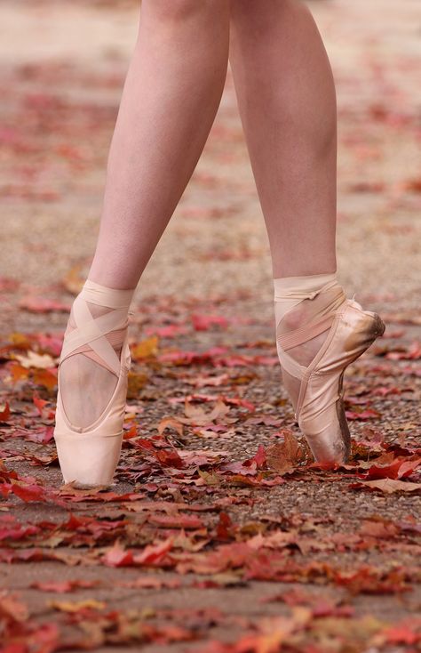 Photographer: Kristopher Grubbs #ballet #ballerina #balletlegs #pointe #pointeshoes #dancewear #kristophergrubbs #grishko #grishkopointeshoes #balletfeet #balletshoes #ballerinaproject #fall #autumn #fallleaves #enpointe Pointe Shoe Photography, Ballet Pointe Shoes Photography, Ballet Pointe Shoes Aesthetic, Pointe Shoes Aesthetic, Pointe Shoes Photography, Dance Shoot, Ballet Quotes, Ballet Legs, Ballet Images