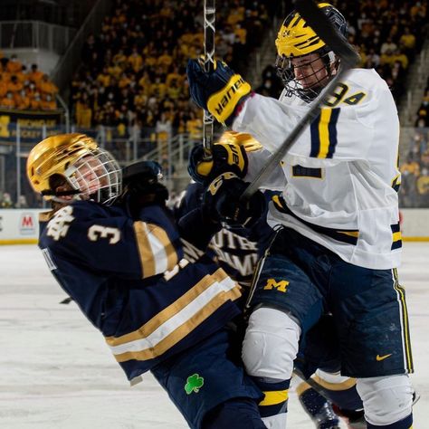 Michigan Wolverines Hockey, Mark Estapa, Michigan Hockey, Hockey Wife, College Hockey, Hockey Pictures, Greek Tragedy, Hot Hockey Players, Hockey Boys