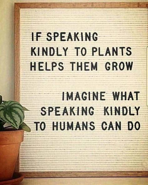 It costs nothing to speak kindly. Encouraging Prayers, Newton Quotes, Godly Advice, Image Positive, Plant Help, Human Kindness, Isaac Newton, Motiverende Quotes, Quotes Thoughts