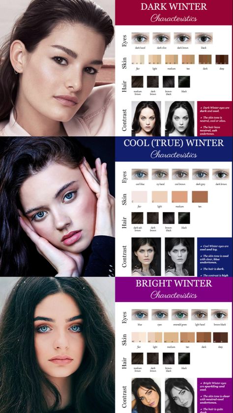 Winter Skin Tone Makeup, Winter Season Palette, Winter Tone Makeup, True Winter Makeup Looks, Winter Skin Tone Color Palette, Winter Cool Tone Makeup Korean, Winter Colour Analysis, Winter Season Color Palette, Cool Undertones Hair Color