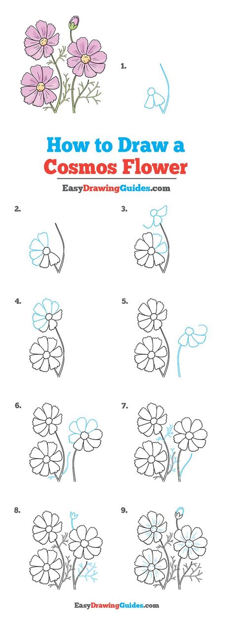 Cosmos Flower Drawing Lesson. Free Online Drawing Tutorial for Kids. Get the Free Printable Step by Step Drawing Instructions on https://easydrawingguides.com/how-to-draw-a-cosmos-flower/ . How To Draw Cosmos Flower Step By Step, How To Draw A Cosmos Flower, Draw Cosmos, Cosmos Flowers Drawing, Step By Step Flower Drawing, Cosmos Drawing, Trin For Trin Tegning, Daisy Drawing, Beginner Sketches