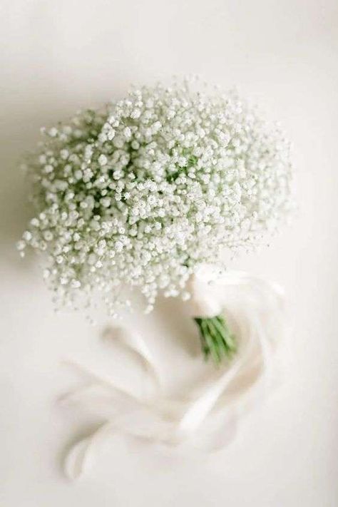 Baby Breath Bouquet Gypsophila Bridal Bouquet, Baby Breath Bouquet, Modern Bridal Bouquets, Unique Bridal Bouquets, Bridal Bouquet Summer, Bridal Bouquet Spring, Bridal Bouquet Fall, Wedding Moodboard, Baby Breath