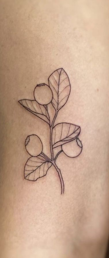 Tiny Blackberry Tattoo, Lingonberry Tattoo, Blueberry Tattoo Minimalist, Cranberry Tattoo, Sophia Tattoo, Motorcycle Babe, Blueberry Tattoo, Blackberry Tattoo, Canada Tattoo