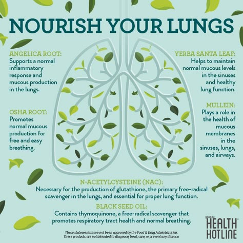 Lung Cleanse, Natural Decongestant, Natural Grocers, Lung Health, Healthy Lungs, Lungs Health, Herbal Healing, Respiratory Health, Herbs For Health