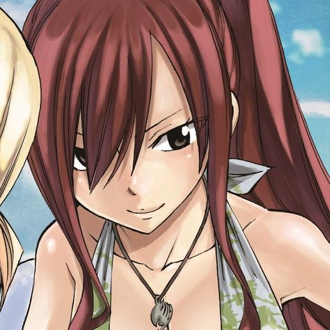 Fairy Tail Photos, Fairy Tail Images, Y2k Profile Picture, Fairy Tail Girls, Fairy Tail Couples, Erza Scarlet, Cute Profile Pictures, Matching Profile Pictures, Discord Server