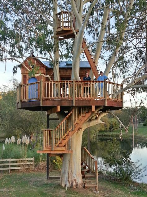 Beautiful Tree Houses, California Vineyards, Tree House Plans, Tree Fort, Tree House Diy, Tree House Kids, Cool Tree Houses, Pretty Trees, Tree House Designs