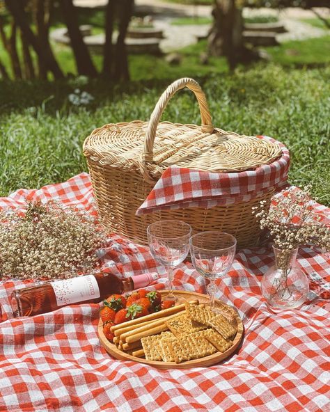 Picnic Red Aesthetic, Gingham Picnic Aesthetic, Picnic Mat Aesthetic, English Picnic Aesthetic, 70s Picnic Aesthetic, Picnic Wedding Theme, End Of Summer Picnic, Vintage Picnic Aesthetic, Picnic Basket Aesthetic