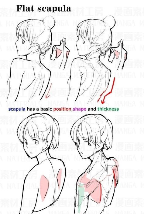 Torso Tutorial, Manga Tips, Reference Study, Drawing Help, Anatomy Sketches, Body Reference Drawing, 인물 드로잉, Gambar Figur, 캐릭터 드로잉