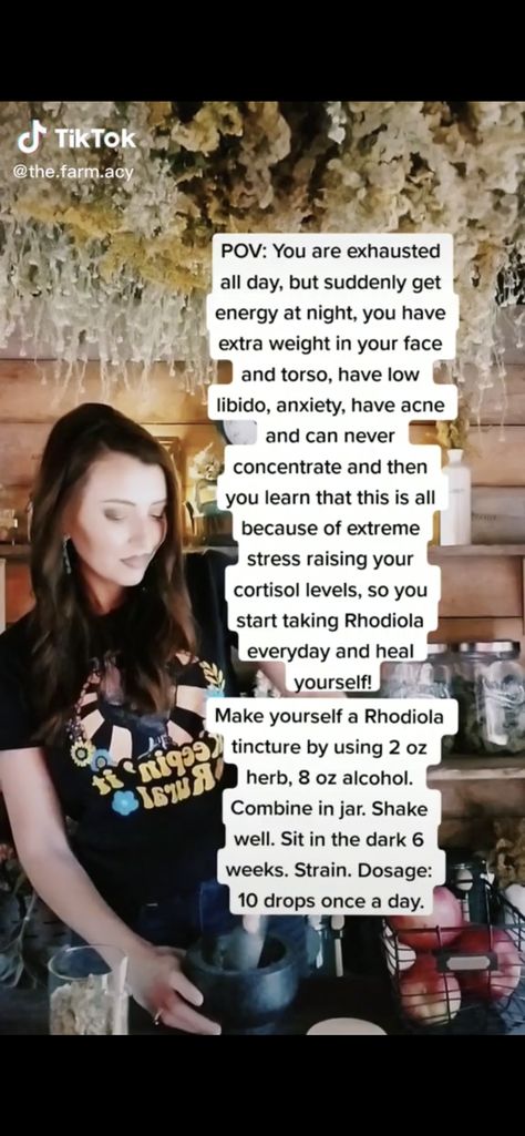 Mullein Root Tincture, Rhodiola Benefits For Women, Rhodiola Tincture, Rhodiola Rosea Benefits, Rhodiola Benefits, Beginner Herbalist, Herbalist Recipes, Tincture Recipes, Tinctures Recipes