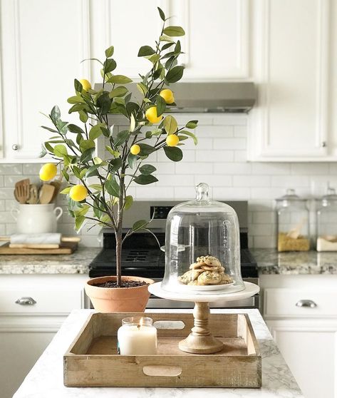 Izzy and Mel  {Handyman & RN} on Instagram: “I think I may need to bring this little lemon tree back into the kitchen, it just cheers up the space so well. Excited to get started on…” Lemon Tree In Kitchen, Lemon Tree Kitchen, Island Centerpiece Ideas Kitchen, Island Centerpiece Ideas, Indoor Lemon Tree, Feng Shui For Money, Feng Shui For Love, Homey House, Fake Lemons