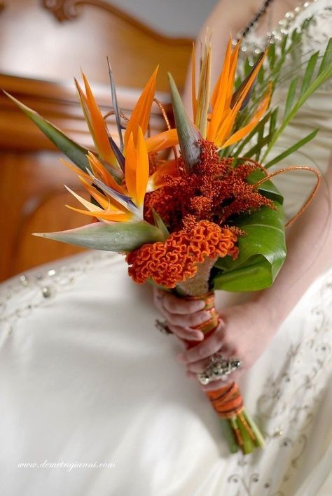 Unusual Bouquets, Anguilla Wedding, Tropical Photoshoot, Bird Of Paradise Wedding, Tropical Flowers Bouquet, Tropical Bridal Bouquet, Tropical Wedding Bouquets, Tropical Bouquet, Jungle Style