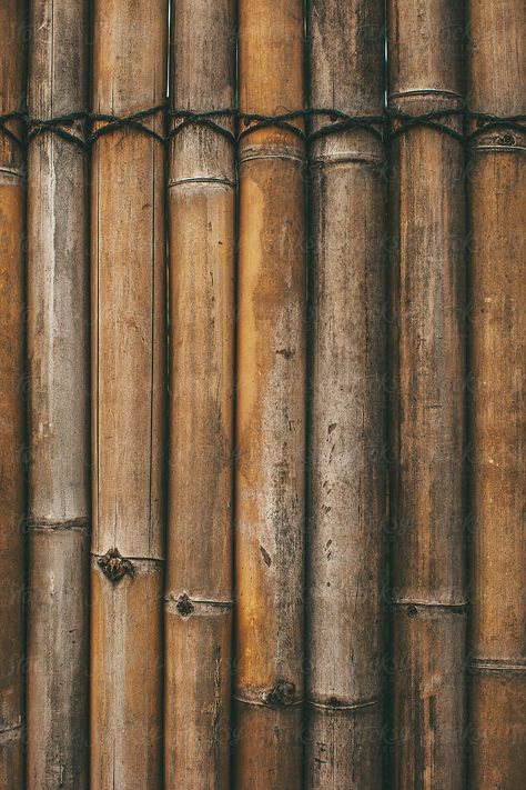 Bamboo Texture Seamless, Bambu Aesthetic, Eco Background, Bamboo Aesthetic, Bamboo Background, Bamboo Wallpaper, Bamboo Texture, Explore Dream Discover, Bamboo Poles