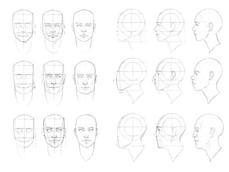 Loomis-method-front-and-profile-full — ImgBB Lumis Method Face Drawing, Loomis Method Side View, Luminous Method Face Drawing, Loomis Method, Profile Drawing, Face Profile, Picture Templates, Drawing Practice, Art Poses