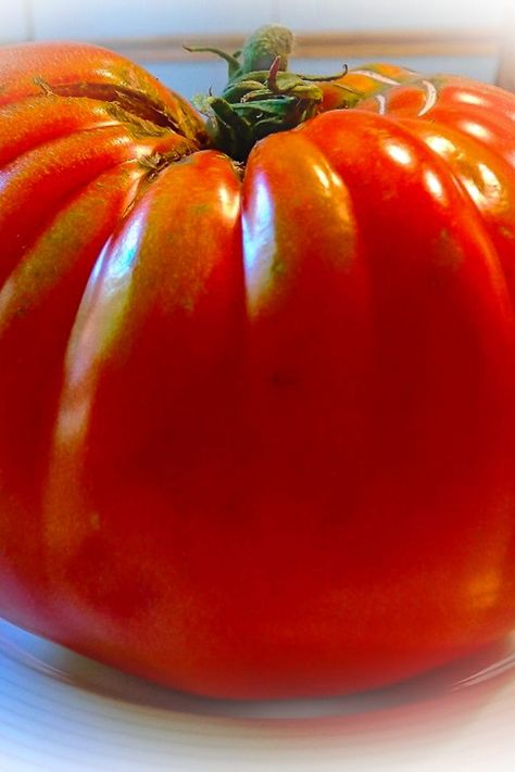 Fragrant, sweet, juicy tomatoes bursting with flavor are the best! What to do with tomatoes? We have lots of great recipe ideas and tomato tips. Check out our favorite ways to use tomatoes in appetizers, sauces, salads, pastas, pizzas and main dishes. What To Do With Tomatoes, Olive Pasta Recipes, Extra Tomatoes, Fresh Tomato Sauce Recipe, Pizza Sauces, Caprese Appetizer, Roasted Halibut, Tomato Tart Recipe, Eggplant Recipes Parmesan