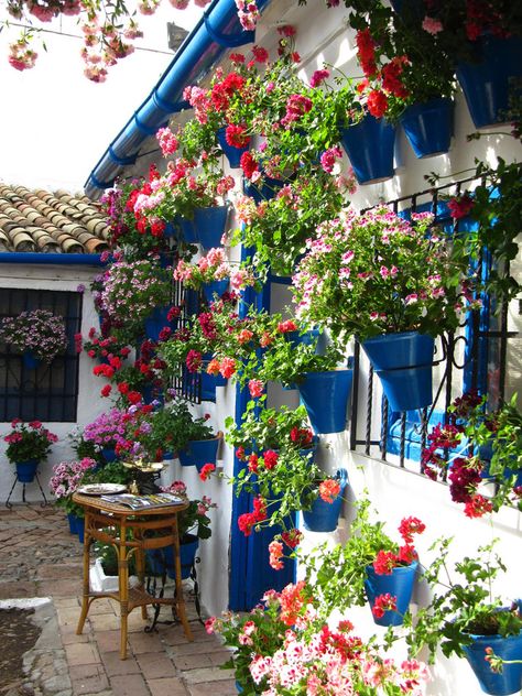 Spanish Style Patio, Spanish Patio, Greek Garden, Mediterranean Patio, Balkon Decor, Greek Decor, Spanish Garden, Patio Wall, Garden Aesthetic