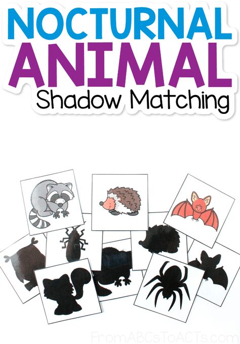 Learn about the animals that come out at night! Match the nocturnal animals to their shadows with this fun, printable matching game! #FromABCsToACTs Nocturnal Animal Math Activities, Night Animals Preschool Crafts, Nocturnal Animals Anchor Chart, Nighttime Animals Preschool, Night Animals Activities, Nocturnal Animals Fine Motor Activities, Winter Animal Worksheets, Night Time Animals Preschool, Montessori Nocturnal Animals