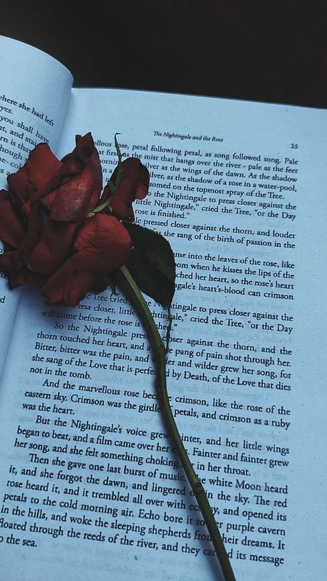 She Was A Rose In The Hands Of Those Who, Dead Lover Aesthetic, Dead Roses Aesthetic, Dead Flowers Aesthetic, Ash Core, Playlist Pics, Hunting Adeline, Eyes Poetry, Dead Rose