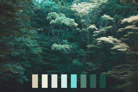 Colors in nature - Imgur Nature Rose, Natural Palette, Blue Colour Palette, Color Studies, Dark Blue Color, Green Nature, Colorful Landscape, Color Stories, Colour Schemes