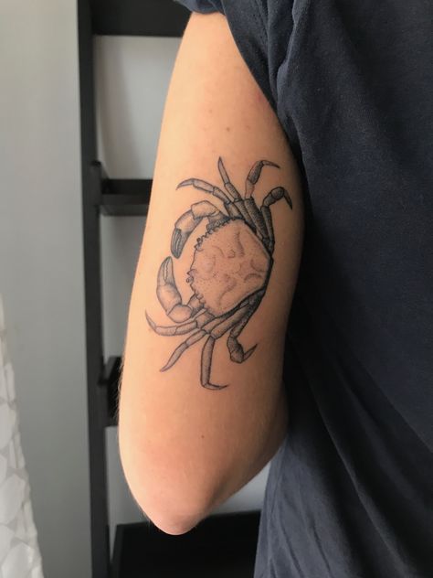 Seafood Tattoo Ideas, Dungeness Crab Tattoo, Cool Crab Tattoo, Crab Leg Tattoo, Crab Flash Tattoo, Crab Tattoo Blackwork, Crab Tattoo For Women Small, Blue Crab Tattoo For Women, Crab Tattoo Men