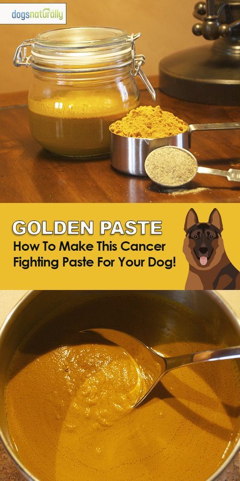 Golden Paste For Dogs, Golden Paste Recipe, Dog Raw Diet, Golden Paste, Dog Remedies, Paste Recipe, Food Dog, Raw Dog Food Recipes, Raw Diet