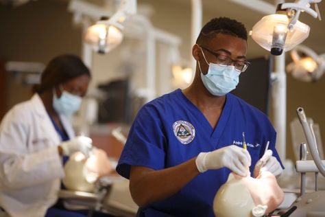 School of Dentistry | Nashville, Tennessee Dental School | Meharry Medical College Dental Health Week, Dental Education, Dental Doctor, Dental Social Media, Dental Health Month, Aesthetic Dentistry, Restorative Dentistry, Medical Training, Health Activities