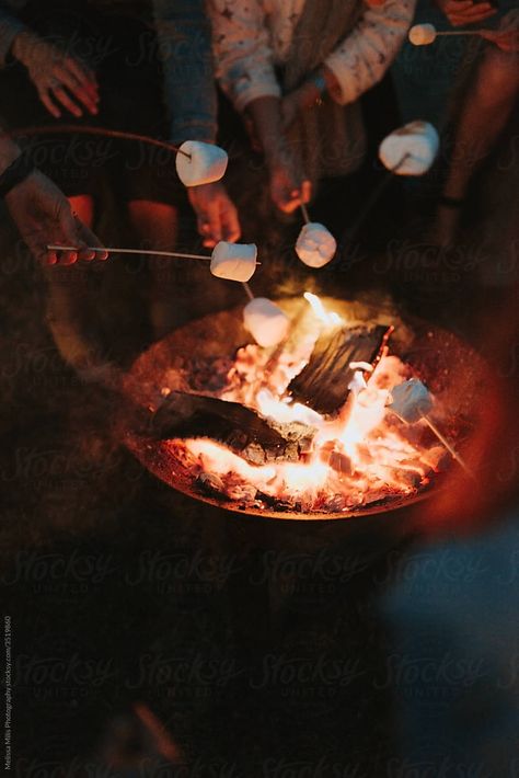 friends roasting marshmallows in the outdoors Friends Around A Campfire, Party Food Ideas Christmas, Party Appetizers Christmas, Party Snacks Christmas, Christmas Party Desserts, Christmas Party Foods, Party Food Christmas, Christmas Party Recipes, Christmas Party Finger Foods