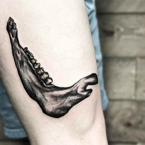 Donkey jawbone Deer Jaw Tattoo, Animal Jaw Bone Tattoo, Animal Jaw Tattoo, Jaw Bone Tattoo, Jawbone Tattoo, Eerie Tattoos, Donkey Tattoo, Black And Grey Tattoos Sleeve, Left Arm Tattoos