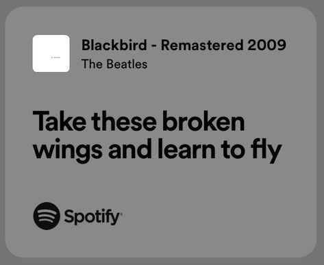 The Beatles Song Lyrics, Beautiful Song Lyrics Quotes, Beatles Lyrics Quotes, The Beatles Blackbird, The Beatles Aesthetic, Blackbird Lyrics, Beautiful Song Lyrics, Classic Rock Lyrics, Famous Song Lyrics