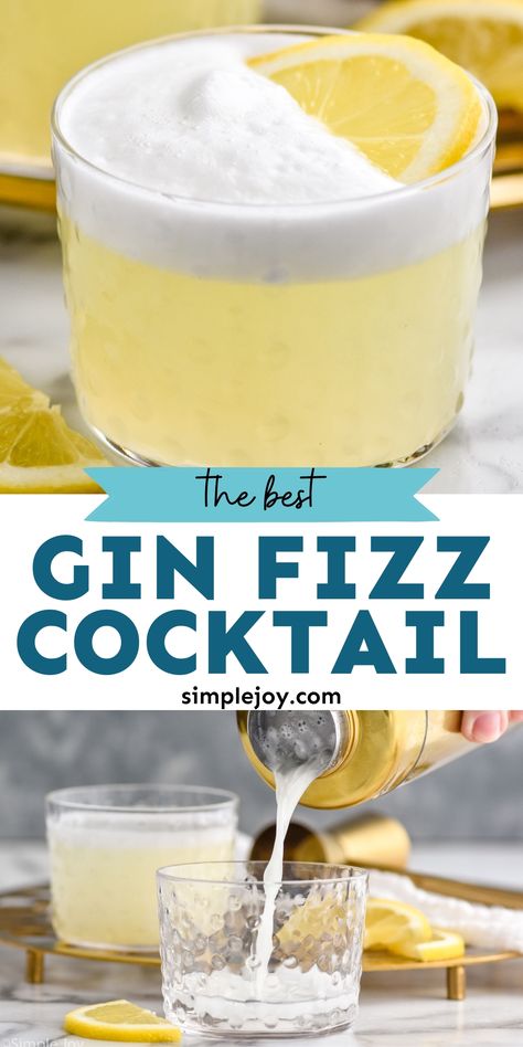 The Gin Fizz is a simple classic cocktail that needs to be added to your bar menu. It is easy to make, delicious, and perfect for party sipping. Gin Fizz Recipe, Best Gin Cocktails, Gin Fizz Cocktail, Fizz Cocktail, Gin Lemon, Best Gin, Sour Beer, Gin Cocktail Recipes, Sugar Free Vegan