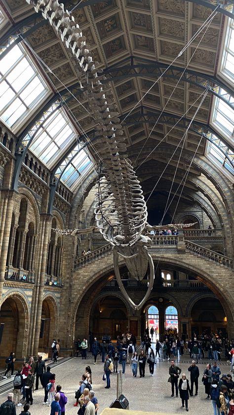 Natural History Museum London Aesthetic, Natural History Museum Aesthetic, Science Museum London, Natural Science Museum, Natural History Museum London, Aesthetic London, Museum Aesthetic, Jobs In Art, Kingdom 3