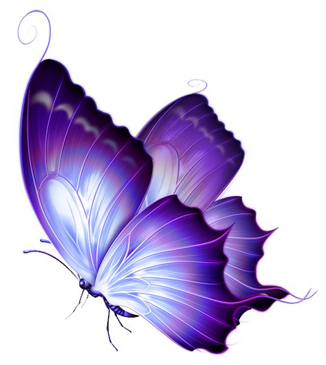 BLUE AND PURPLE BUTTERFLY CLIP ART Purple Butterfly Tattoo, Art Papillon, Butterfly Clip Art, Butterfly Pictures, Butterfly Drawing, Purple Butterfly, Butterfly Wallpaper, Butterfly Art, Blue Butterfly