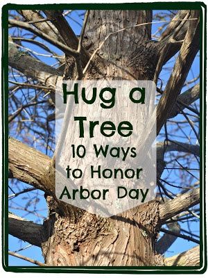 Hug A Tree, Importance Of Trees, Grape Trellis, Wood Arbor, Wedding Arbors, April Crafts, Arbor Day, Tree Day, Tree Study