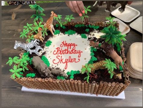 Zoo Birthday Party Cake, Zoo Birthday Cake, Jungle Birthday Cakes, Costco Cake, Jungle Theme Cakes, Suprise Birthday, Zoo Birthday Party, Animal Birthday Cakes, Safari Kids