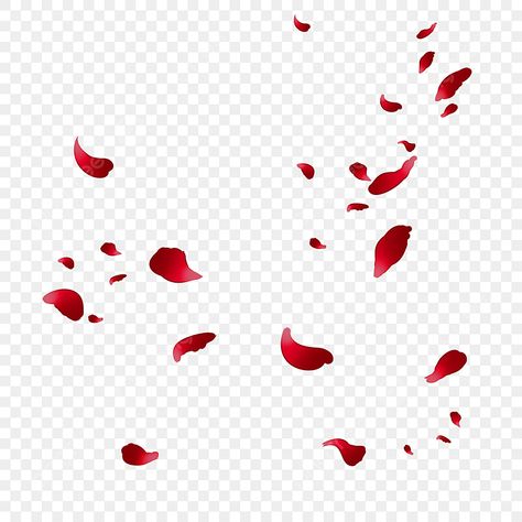 Png For Graphic Design, Rose Transparent Background, Rose Petals Background, Rose Petals Drawing, Falling Flower Petals, Red Roses Png, Rose Flower Background, Mental Prison, Petals Background