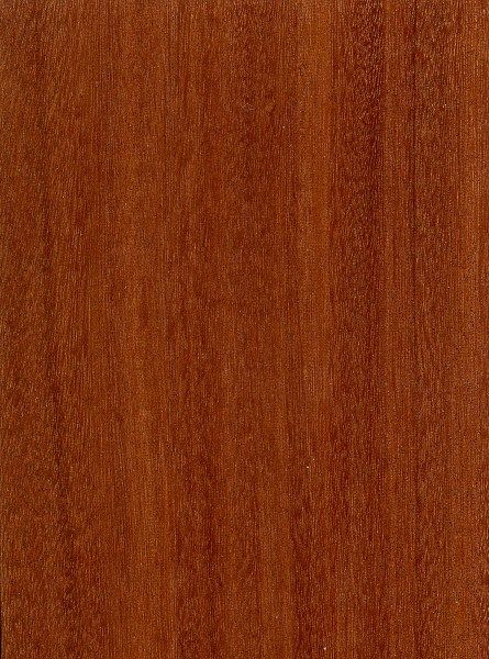 Wooden Veneer Texture, Mahogany Wood Texture, Red Wood Texture, Sketch Office, Veneer Texture, Wood Texture Seamless, Wood Plank Tile, Color Caoba, Wood Floor Texture