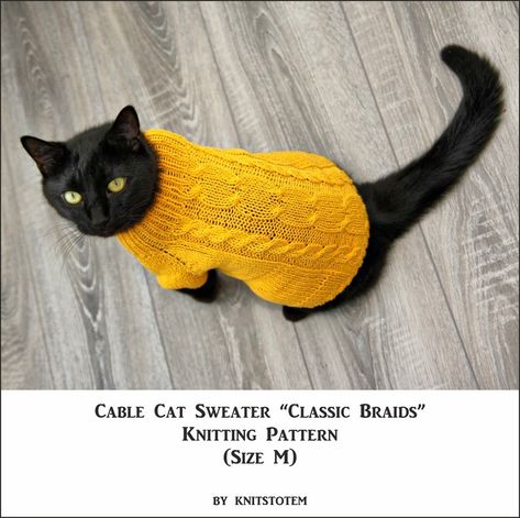 Diy Jumper, Cat Sweater Pattern, Chris Jr, Classic Braids, Gato Sphynx, Cats Adorable, Animal Clothes, Chat Sphynx, Pet Sweaters