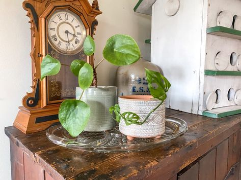 Plant In Glass, Plant Saucers, Fancy Dishes, 70s House, Plant Saucer, Plant Tray, Old Vases, Inspiring Interiors, Small Potted Plants