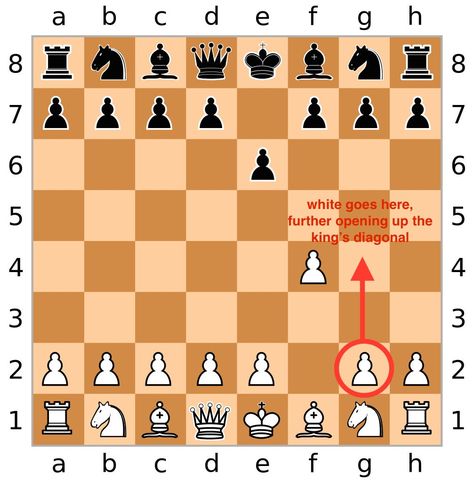 How To Win Chess Match In 2 Moves - Business Insider How To Win Chess, Chess Tricks, Chess Rules, Chess Match, Music Dice, Chess Tactics, Learn Chess, Chess Moves, Storage Unit Organization